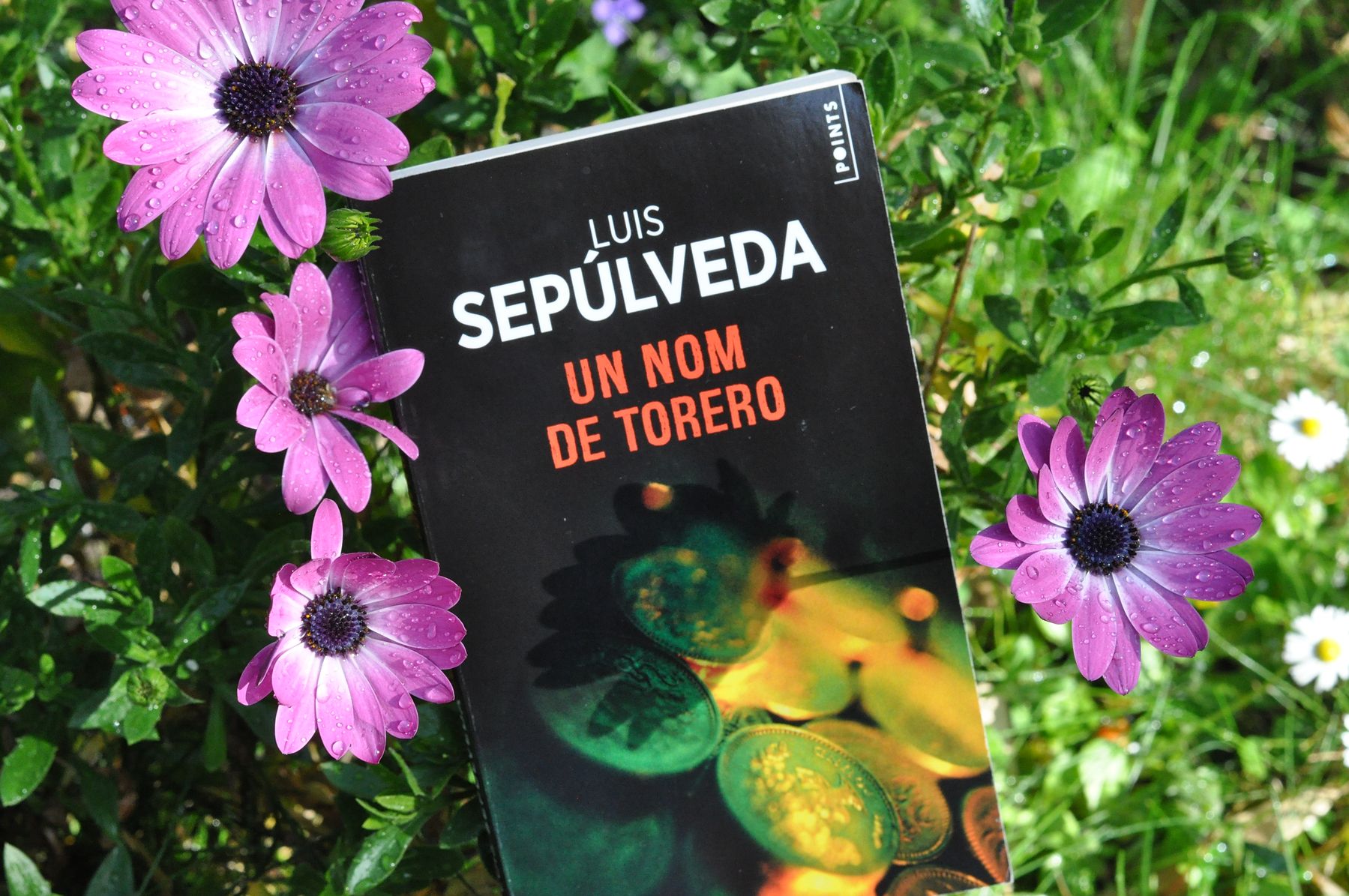 Compagnie Générale Transatlantique | Estuaire et patrimoine, image size:1799x1195